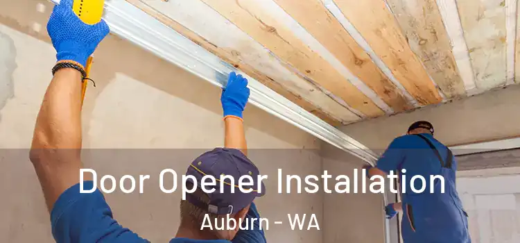 Door Opener Installation Auburn - WA
