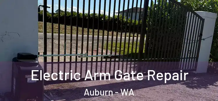 Electric Arm Gate Repair Auburn - WA