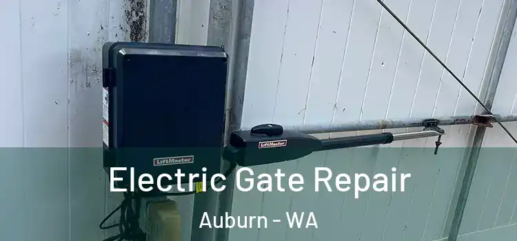 Electric Gate Repair Auburn - WA