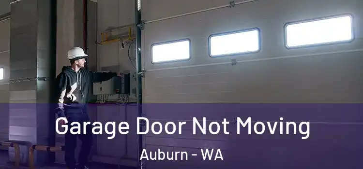  Garage Door Not Moving Auburn - WA