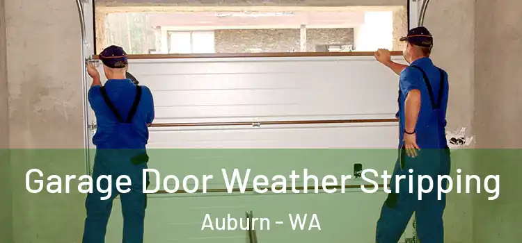  Garage Door Weather Stripping Auburn - WA