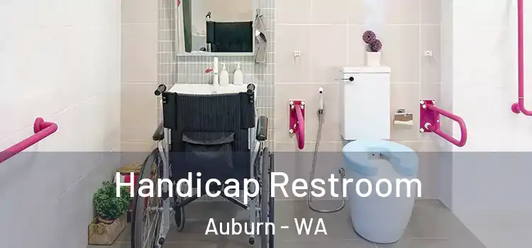  Handicap Restroom Auburn - WA