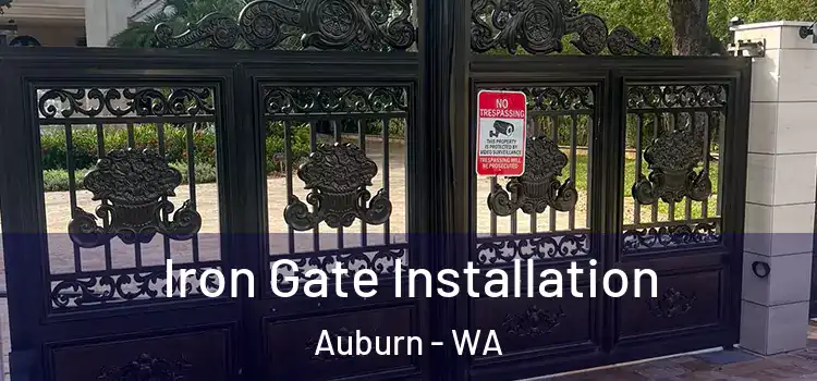 Iron Gate Installation Auburn - WA