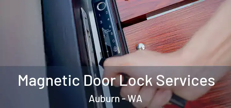 Magnetic Door Lock Services Auburn - WA