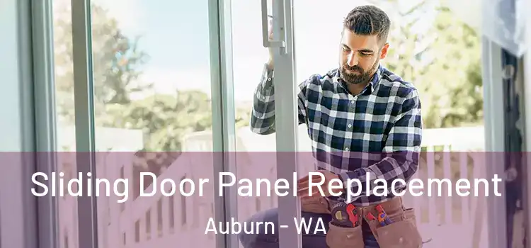  Sliding Door Panel Replacement Auburn - WA