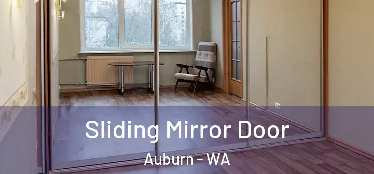  Sliding Mirror Door Auburn - WA